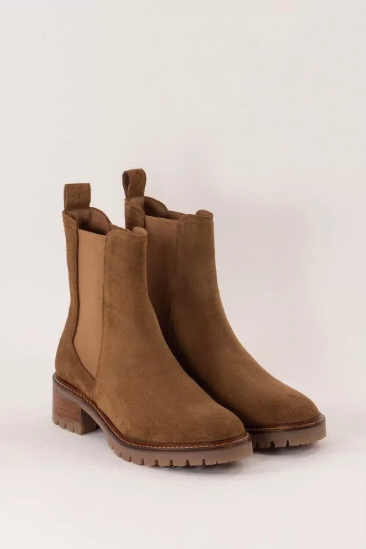 Sessun chelsea boots Ainwick daim gold suede
